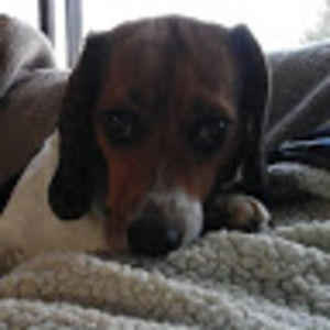 Meet your Posher, Jill